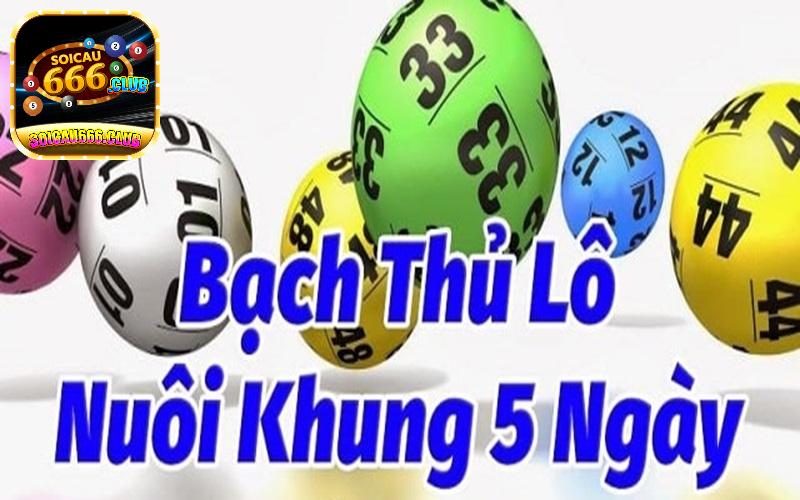 Hướng cách nuôi lô bạch thủ khung 5 ngày bất bại 2024